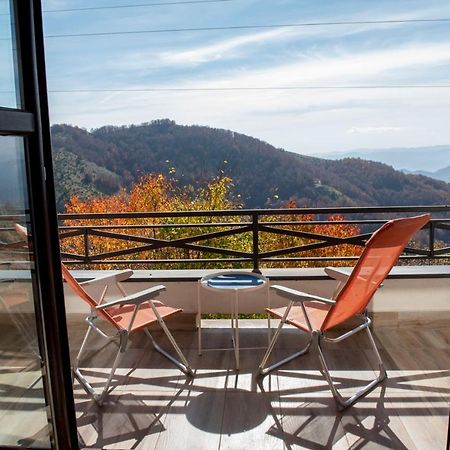 Apartman Andjela Kopaonik Exteriör bild