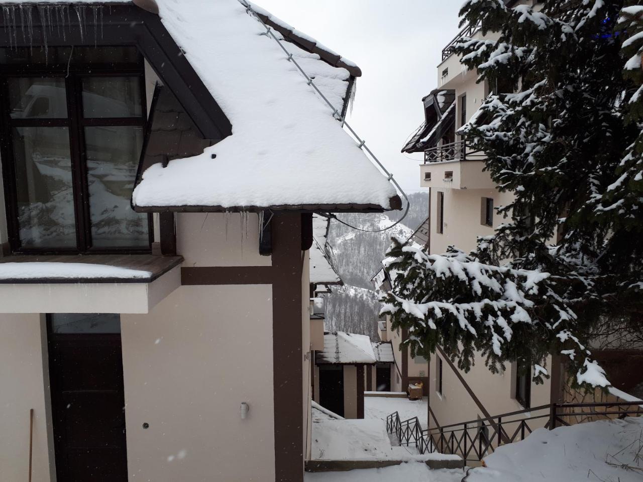 Apartman Andjela Kopaonik Exteriör bild