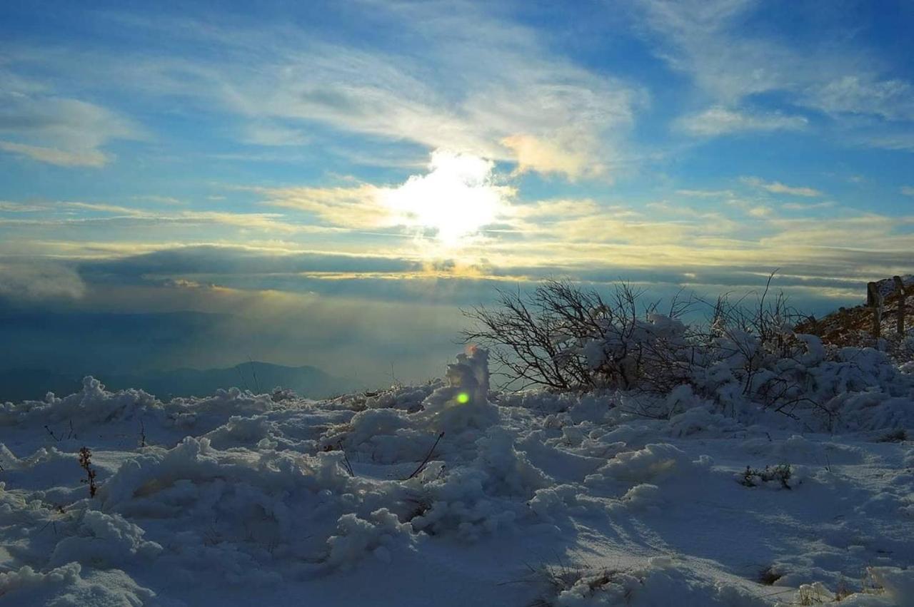 Apartman Andjela Kopaonik Exteriör bild