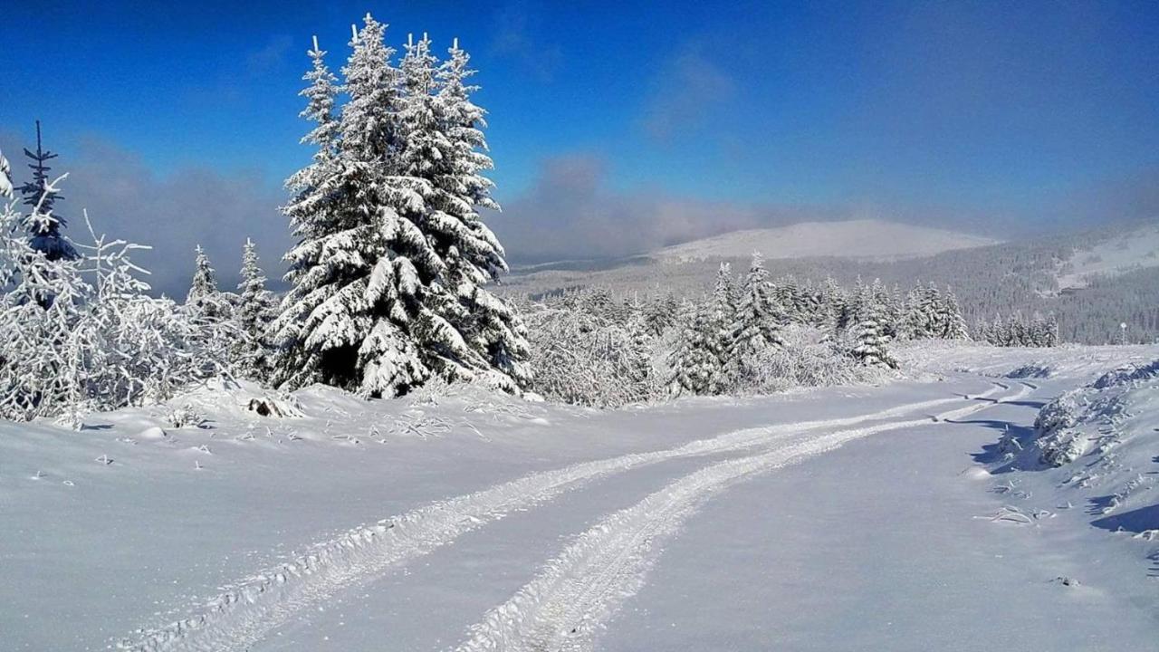 Apartman Andjela Kopaonik Exteriör bild